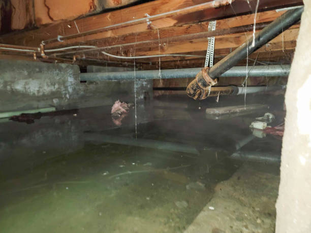 Best Emergency water extraction  in Tega Cay, SC