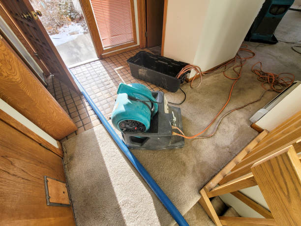 Best Flood damage cleanup  in Tega Cay, SC