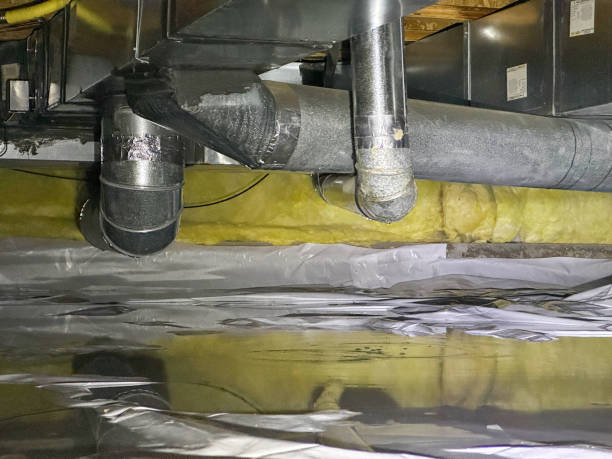 Best Ceiling water damage repair  in Tega Cay, SC