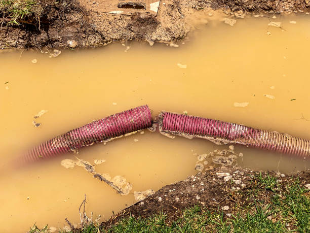 Local water damage restoration in Tega Cay, SC